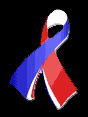 sept11ribbon_88.gif (3228bytes)